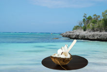 Softeispulver: Acqua di Cocco, Kokosnuss Softeis, Vegan
